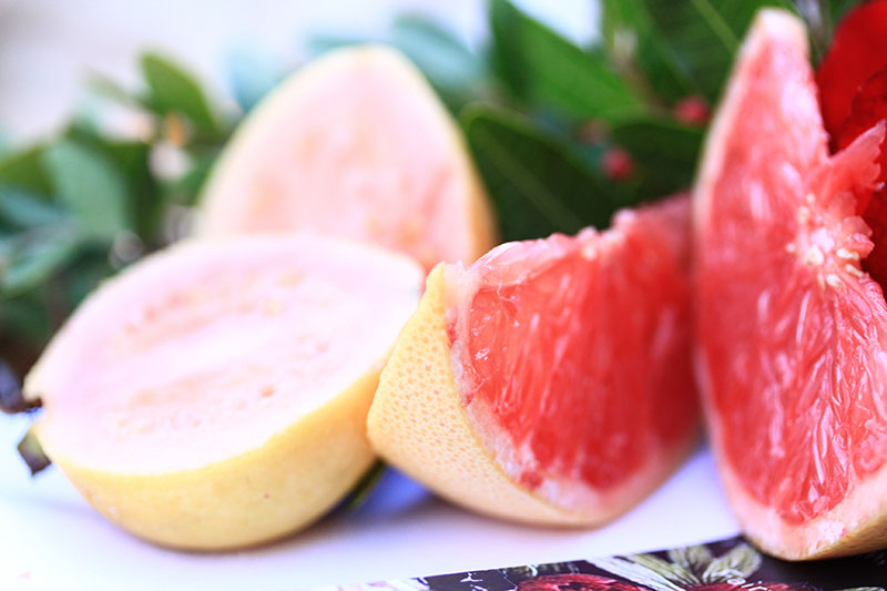 Madredp Photography Product shoot MDP Wedding Photographer