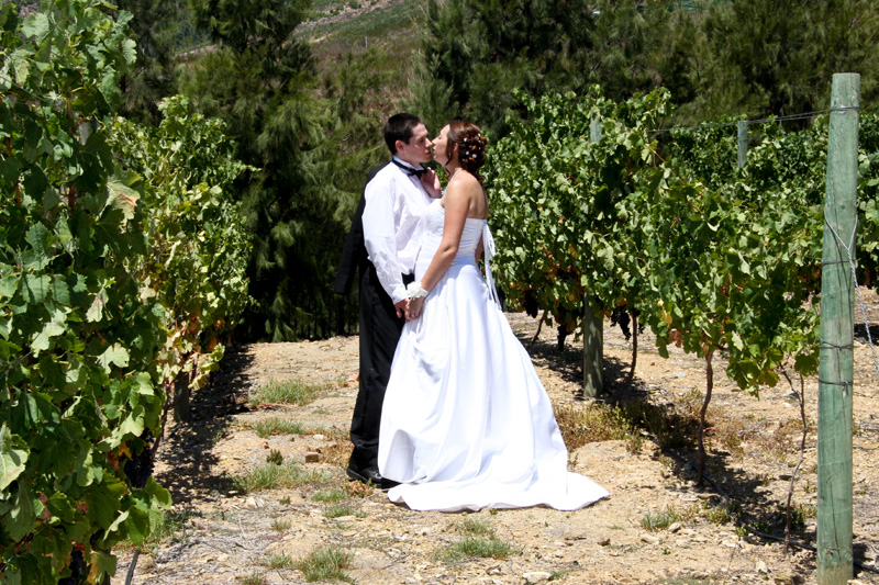 MDP Wedding Photographer